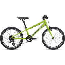 Giant ultraleichtes Kinderfahrrad GIANT ARX 20 (2025), Farbe Lime Punch
