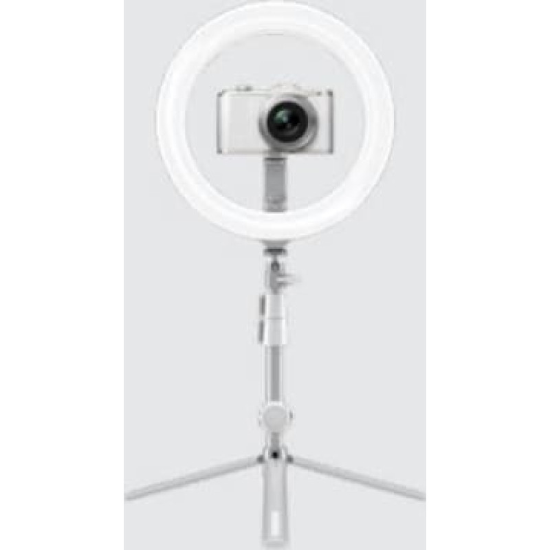 Kodak RL001 10