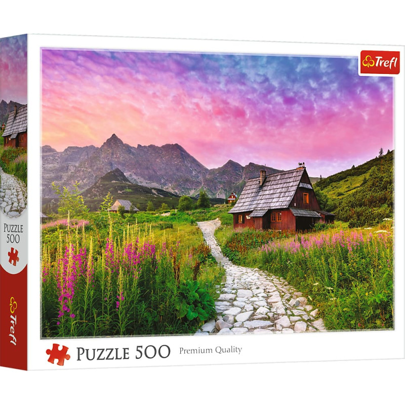HALA GĄSIENICOWA POLSKIE TATRY *500*