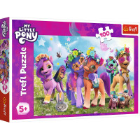 Trefl MY LITTLE PONY Dėlionė „Mano mažasis ponis“, 100 det.