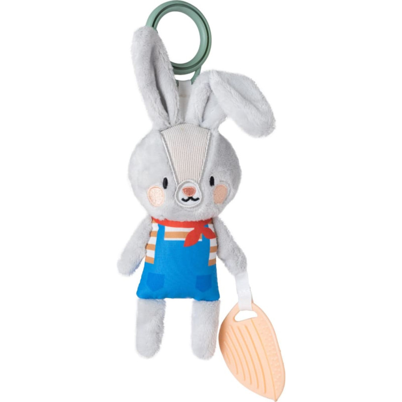 Taf Toys lavinamasis žaislas Rylee the Bunny