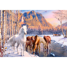 CASTORLAND Puzzle 500el. Winter Melt - Zirgi ziemas ainava