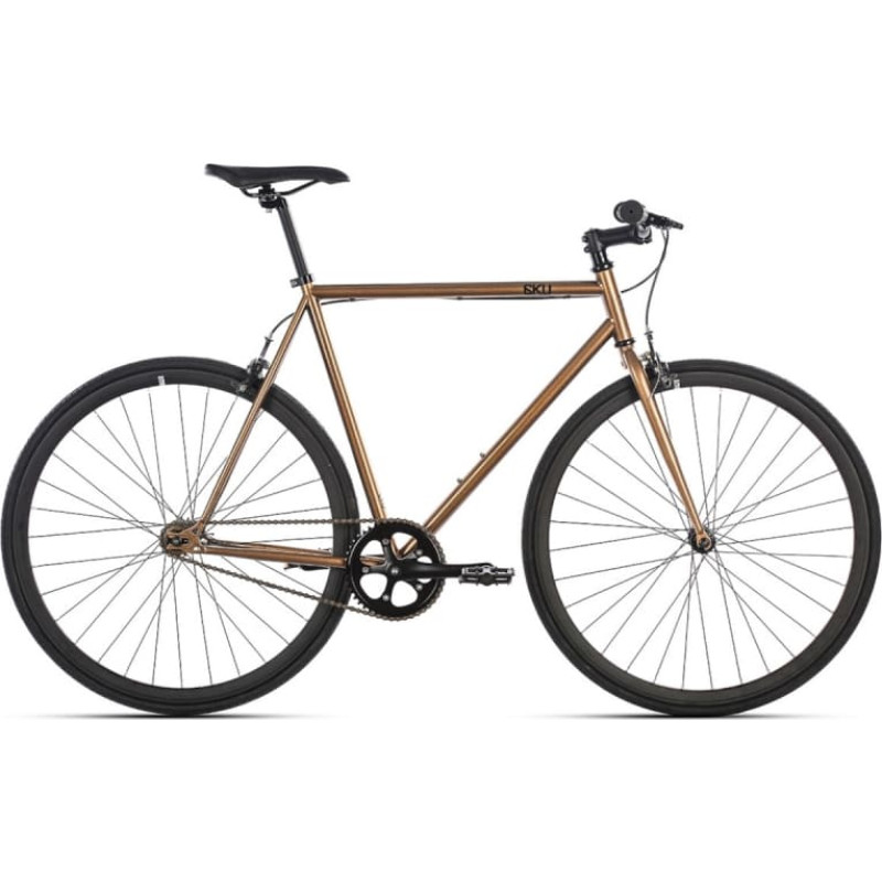 6KU FIXIE Dallas, 28