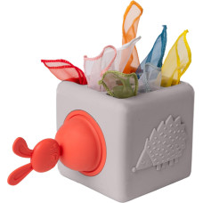 Taf Toys lavinamasis žaislas Pop Up Tissue Box