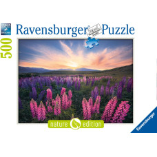 Ravensburger 