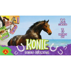 DOMINO OBRAZKOWE KONIE