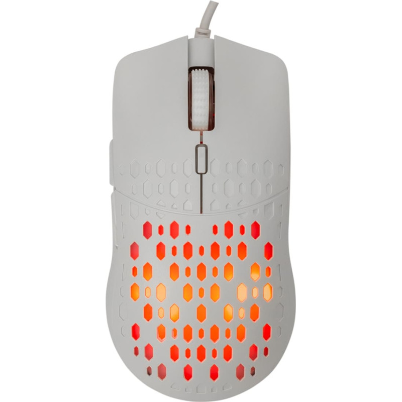 Baracuda BGM-022 OCTOPUS White