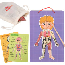 Tooky Toy Drewniane Puzzle Montessori Magnetyczne Nauka Anatomia Człowieka 78el.